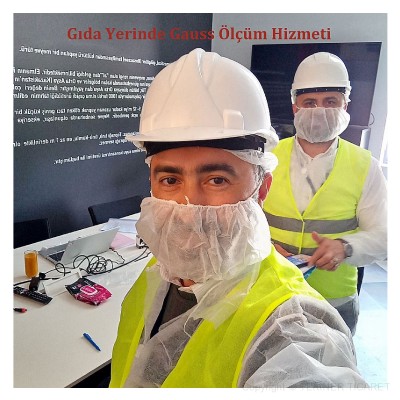 MANYETK GAUSS LM ve RAPORLAMA